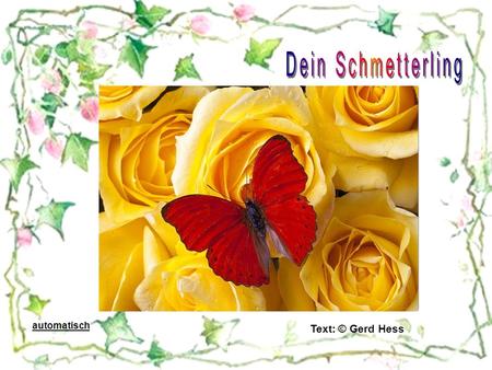Dein Schmetterling automatisch Text: © Gerd Hess.