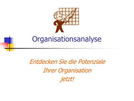 Organisationsanalyse