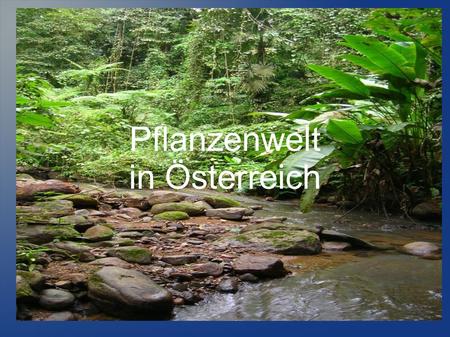 Pflanzenwelt in Österreich.