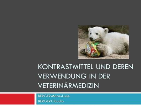 Kontrastmittel und deren Verwendung in der Veterinärmedizin