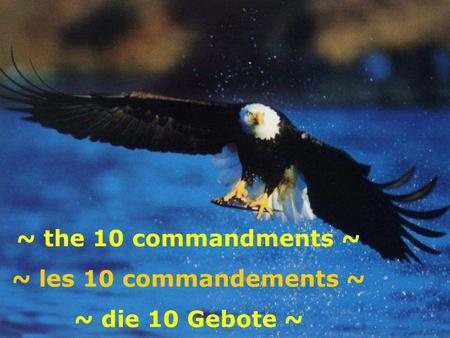 ~ the 10 commandments ~ ~ les 10 commandements ~ ~ die 10 Gebote ~