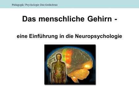 Das menschliche Gehirn - eine Einführung in die Neuropsychologie