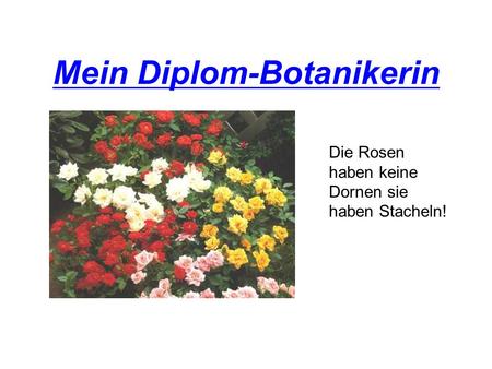 Mein Diplom-Botanikerin