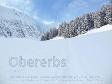 21.2.2013 Mal testen, ob Barbara & Hansruedi würdige Nachfolger von Doris & Ruedi sind! Schon mal gut ist, dass der Schneeschuh-Trail ausgesteckt ist wie.