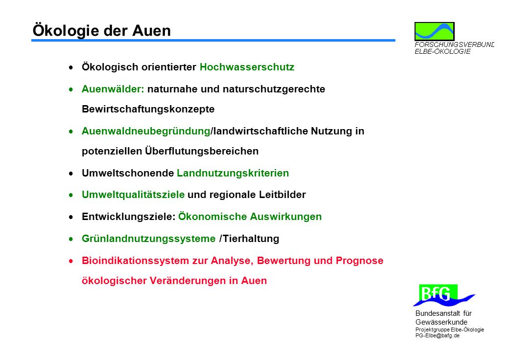 unterricht ökologie elbe