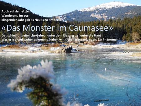 Auch auf der letzten Wanderung im aus- klingenden Jahr gab es Neues zu entdecken «Das Monster im Caumasee» Das schier unheimliche Geheul unter dem Eis.