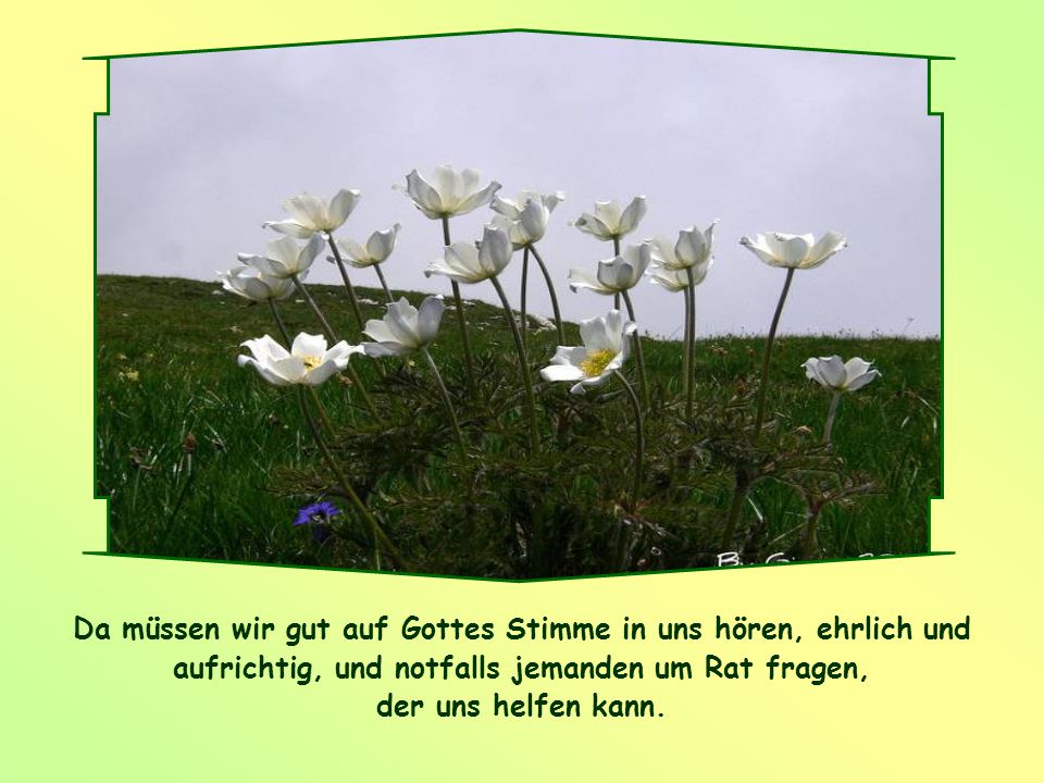 Fragen um jemanden besser kennenlernen