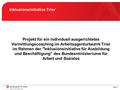 Seite 1 Inklusionsinitiative Trier Projekt für ein individuell ausgerichtetes Vermittlungscoaching im Arbeitsagenturbezirk Trier im Rahmen der Inklusionsinitiative.