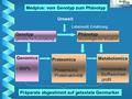 Genotyp genetische Ausstattung Phänotyp physiologische Situation Umwelt Lebensstil, Ernährung Genomics - SNPs Proteomics - Proteinkonz. - Proteinaktivität.