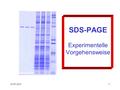 30.05.20161 SDS-PAGE Experimentelle Vorgehensweise.