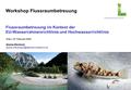 Seite 130.05.2016 Workshop Flussraumbetreuung Flussraumbetreuung im Kontext der EU-Wasserrahmenrichtlinie und Hochwasserrichtlinie Wien, 23. Februar 2009.