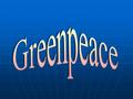 Seit 1971 setzt sich Greenpeace für den Schutz der Lebensgrundlagen ein. Seit 1971 setzt sich Greenpeace für den Schutz der Lebensgrundlagen ein. Gewaltfreiheit.