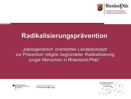 Radikalisierungsprävention „salutogenetisch orientiertes Landeskonzept zur Prävention religiös begründeter Radikalisierung junger Menschen in Rheinland-Pfalz“