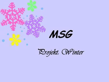 MSG Projekt: Winter Wahl des Projekts - jahreszeitlich bedingt - vielseitig und ganzheitlich umsetzbar - einzelne MSG-Bereiche werden abgedeckt.