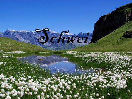 Schweiz. Die Schweiz ist der kleine Staat. Sie liegt im Westeuropa neben Österreich, Frankreich, Deutschland, Liechtenstein und Italien.