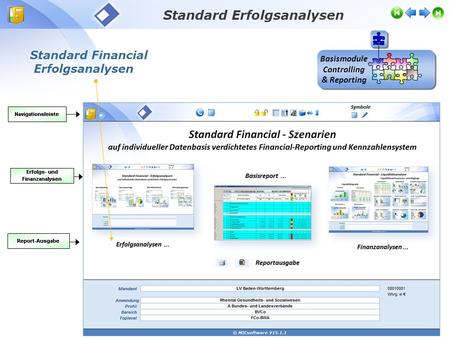 Standard Financial Erfolgsanalysen Standard Erfolgsanalysen Basismodule Controlling & Reporting.