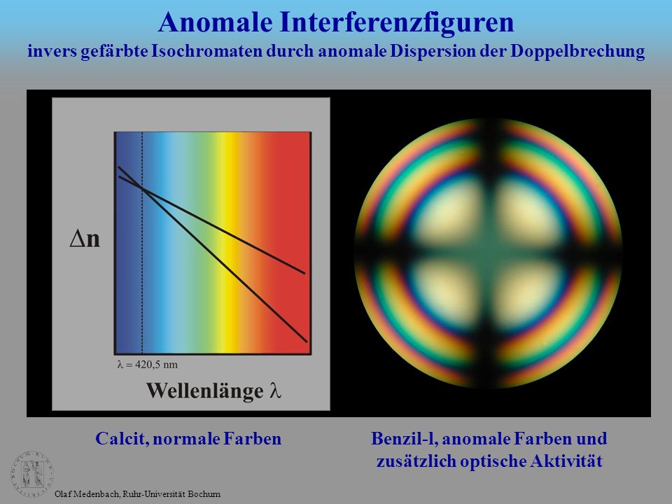 download elseviers integrated physiology 2007