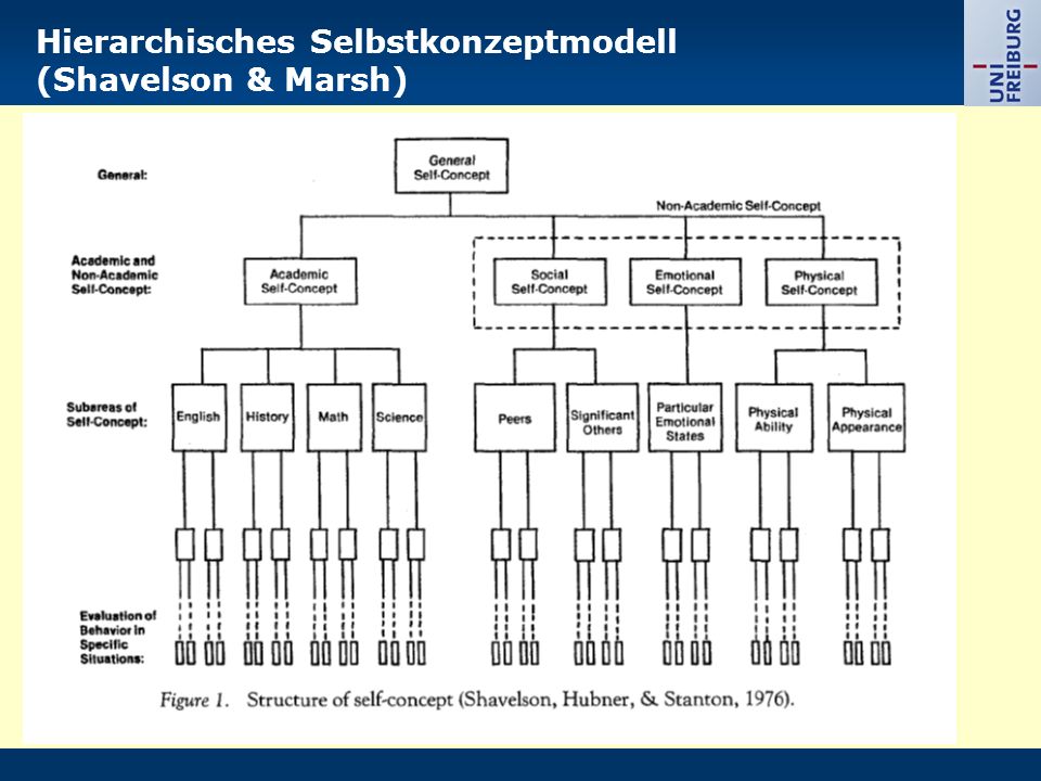 the dilemmas of family wealth insights on succession cohesion