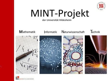 MINT-Projekt T M I N athematik nformatik aturwissenschaft echnik