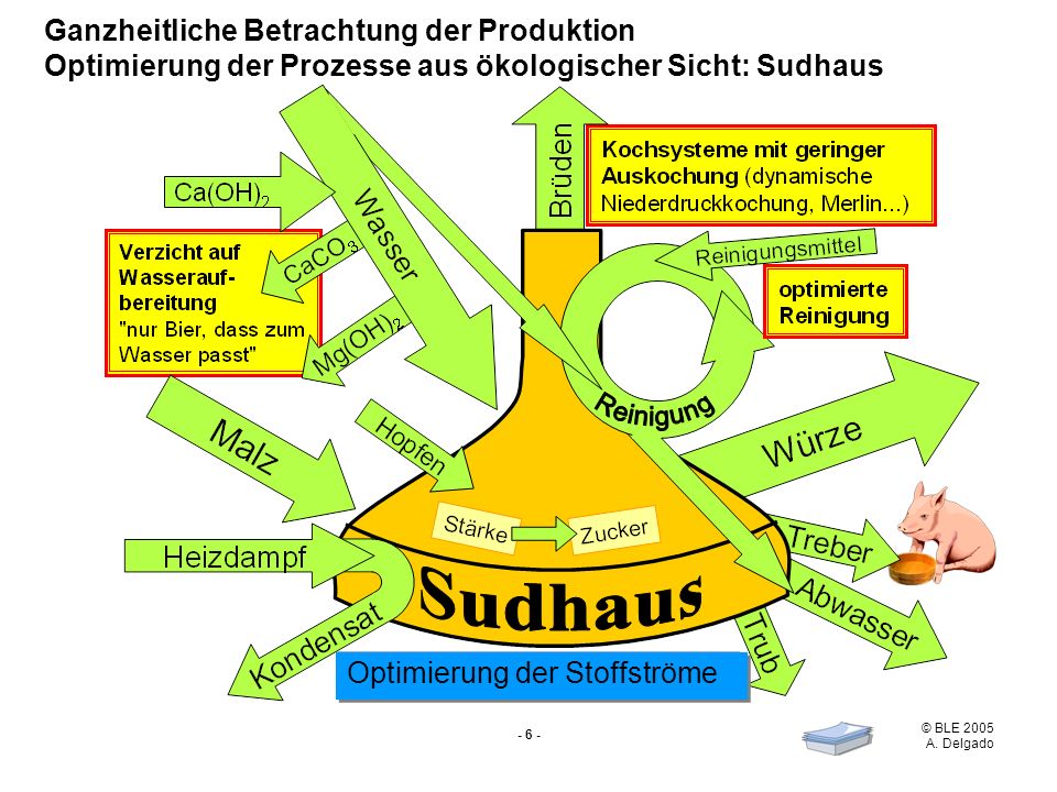 online der psychotherapeut die behandlung von borderline