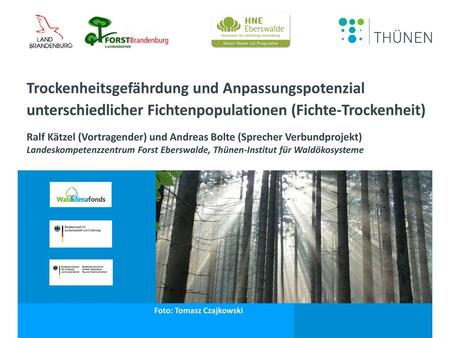 Trockenheitsgefährdung und Anpassungspotenzial unterschiedlicher Fichtenpopulationen (Fichte-Trockenheit) Ralf Kätzel (Vortragender) und Andreas Bolte.