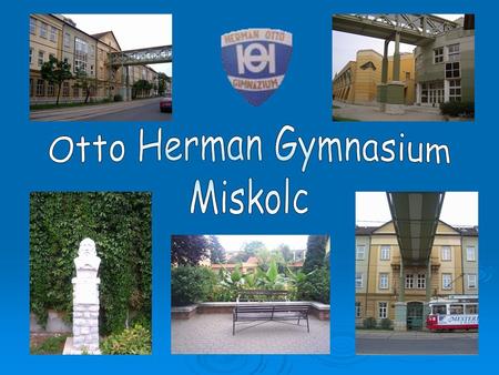 In dem ersten Gebäude des Gymnasiums läuft die Ausbildung seit 1878. Im Jahr 1957 wurde das Gymnasium zum Otto Herman - Gymnasium benannt. Im Jahr 1993.