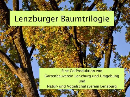 Lenzburger Baumtrilogie
