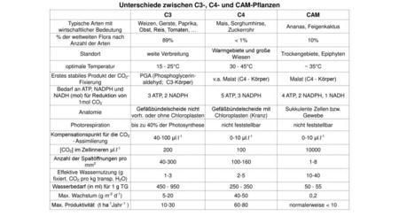 Unterschiede zwischen C3-, C4- und CAM-Pflanzen