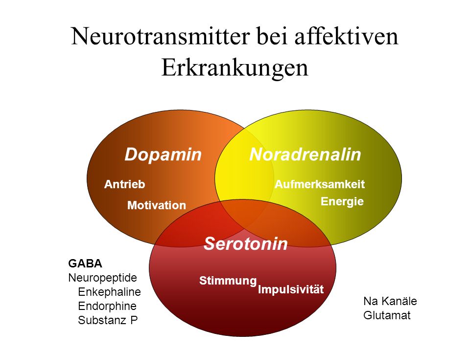 gesammelte schriften bd5 zur metakritik der