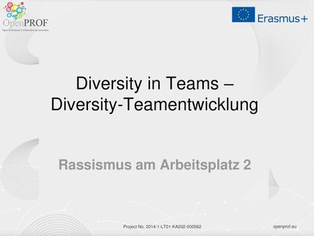 Diversity in Teams – Diversity-Teamentwicklung