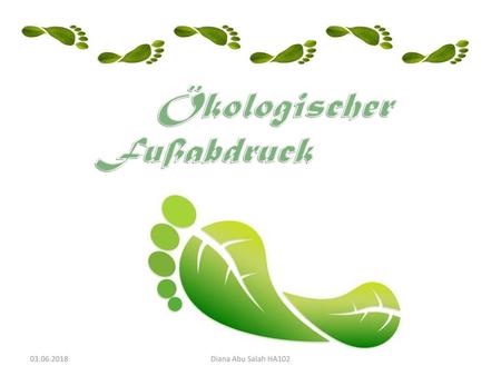 Ökologischer Fußabdruck