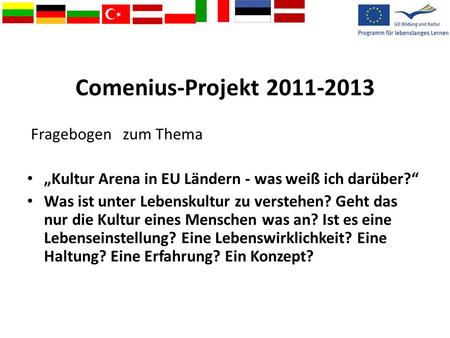Comenius-Projekt Fragebogen zum Thema