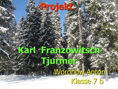 Karl Franzowitsch Tjurmer Woronow Anton Klasse 7 b Projekt.