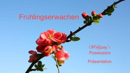 Frühlingserwachen Wolfgang´s Powerpoint Präsentation.