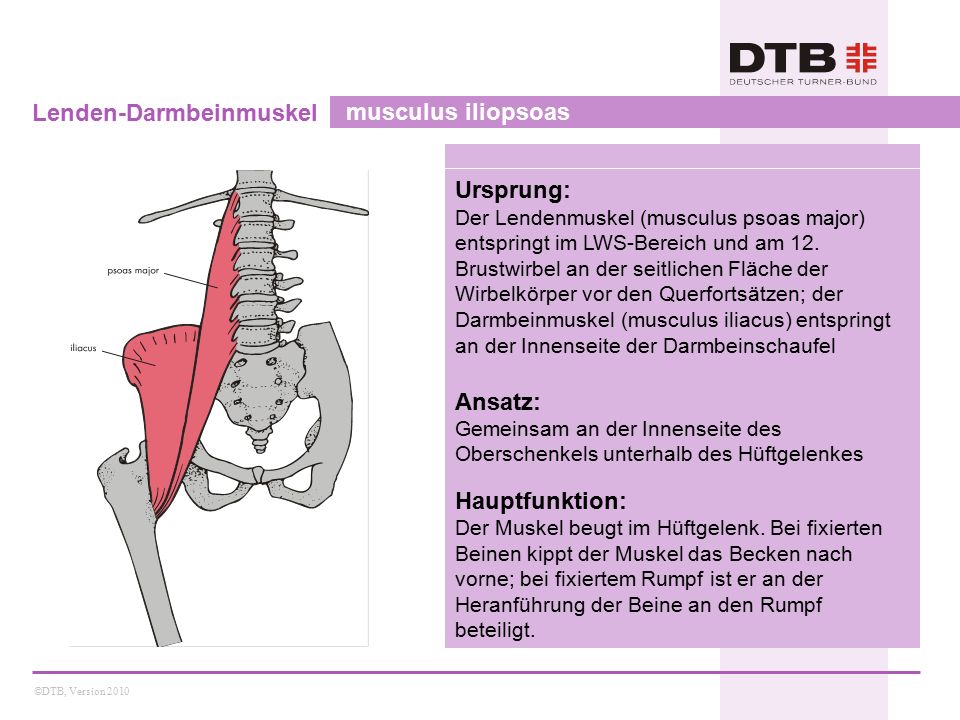 download examens