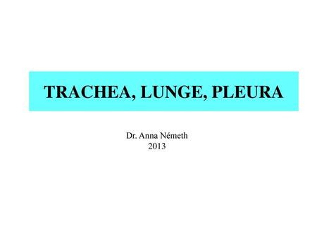 TRACHEA, LUNGE, PLEURA Dr. Anna Németh 2013.