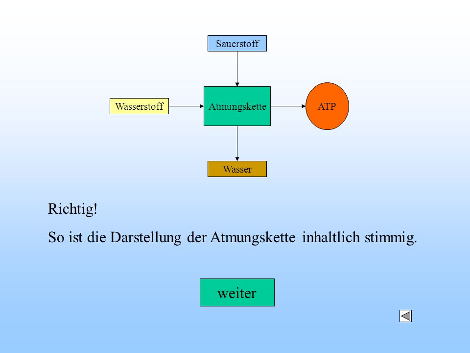 online meeresverschmutzung