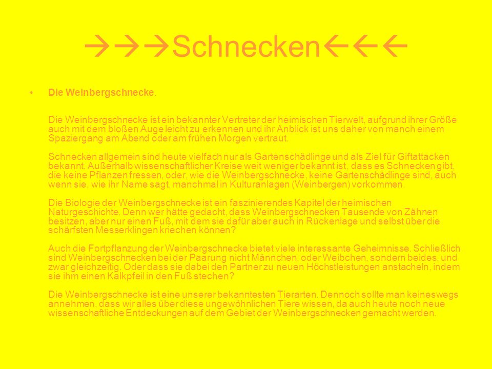 Die Maske für die Person das tote Meer belita die Rezensionen