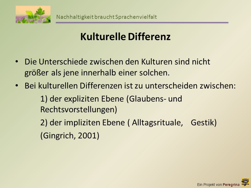 view synthesis and optimization of