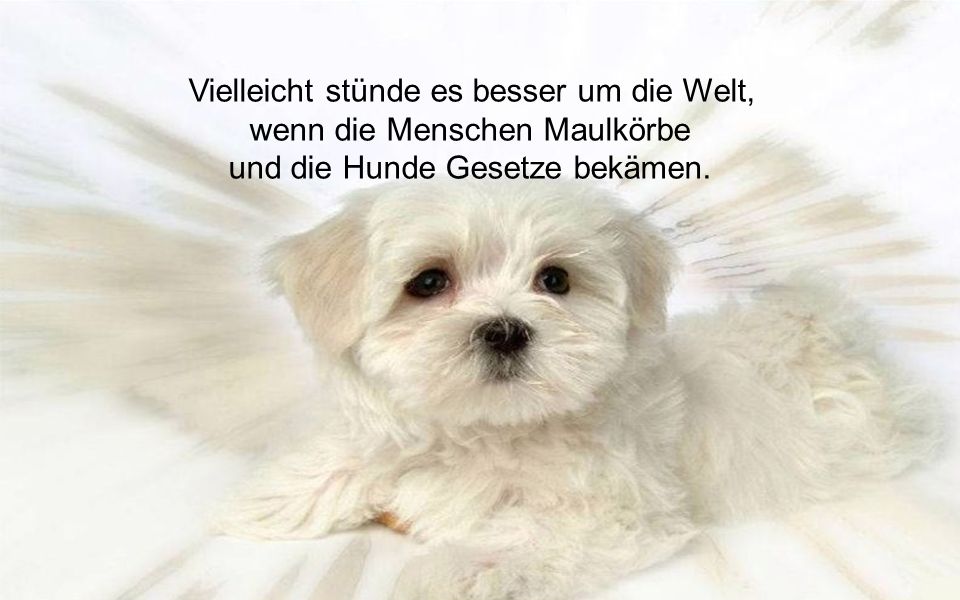 Fragen um einen menschen besser kennenlernen