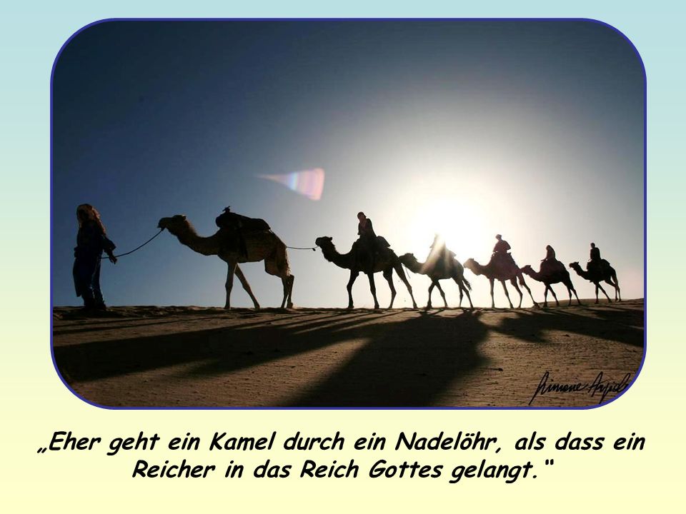 eher geht ein kamel durch ein nadelГ¶hr eher geht ein kamel durch ein nadelГ¶hr