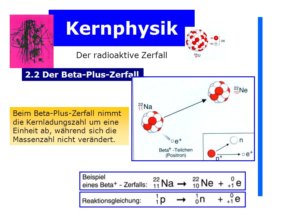 download Bildverarbeitung für die Medizin 2006.