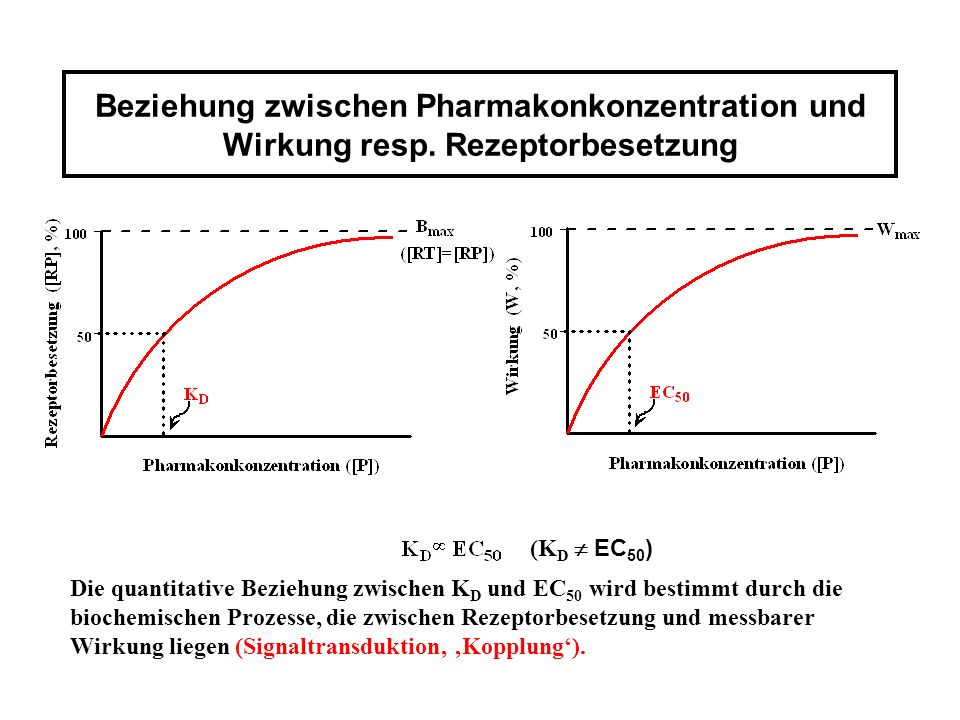 Zwischen kennenlernen und beziehung