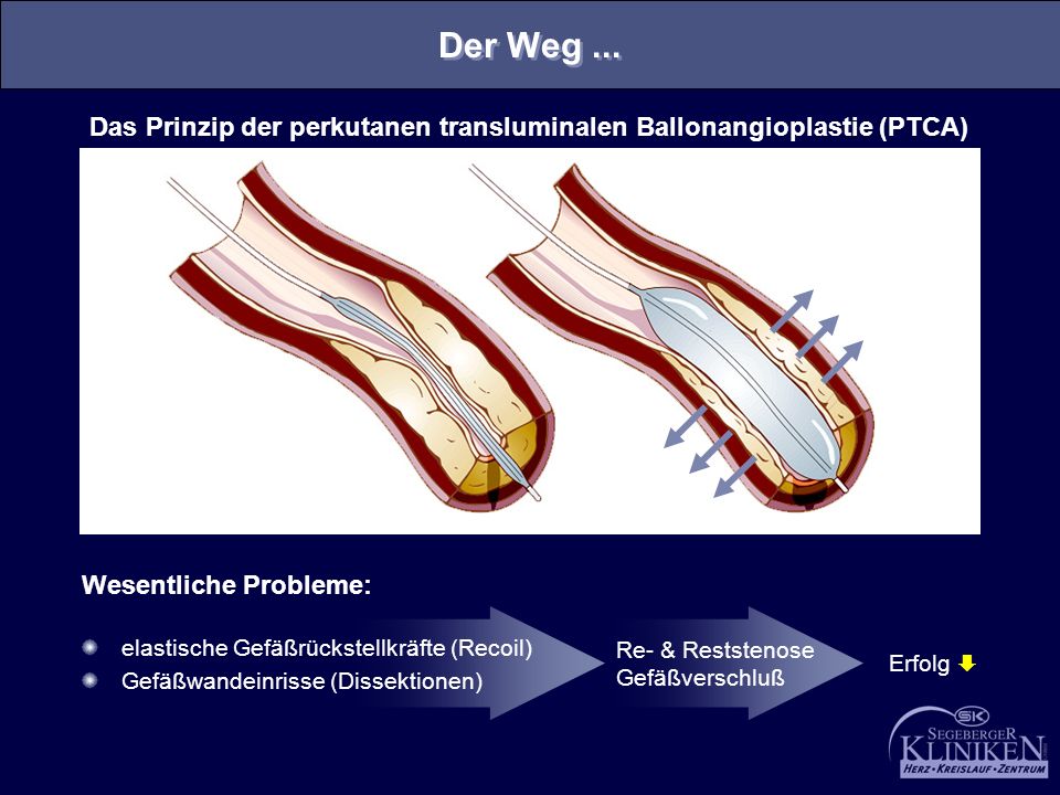 online programmieren mit