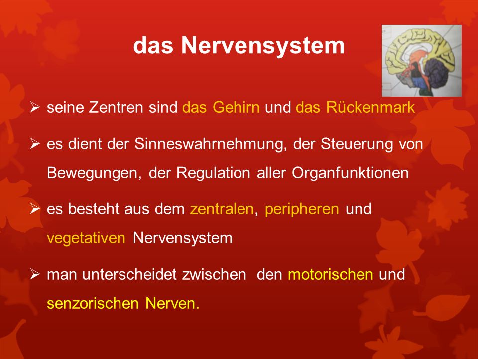 krankheitsverarbeitung hintergrundtheorien klinische erfassung und empirische ergebnisse