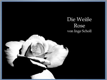 Die Weiße Rose von Inge Scholl.