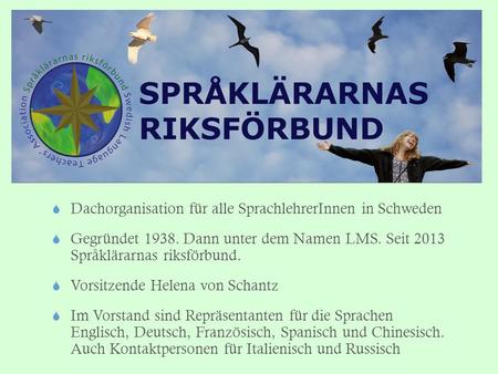  Dachorganisation für alle SprachlehrerInnen in Schweden  Gegründet 1938. Dann unter dem Namen LMS. Seit 2013 Språklärarnas riksförbund.  Vorsitzende.