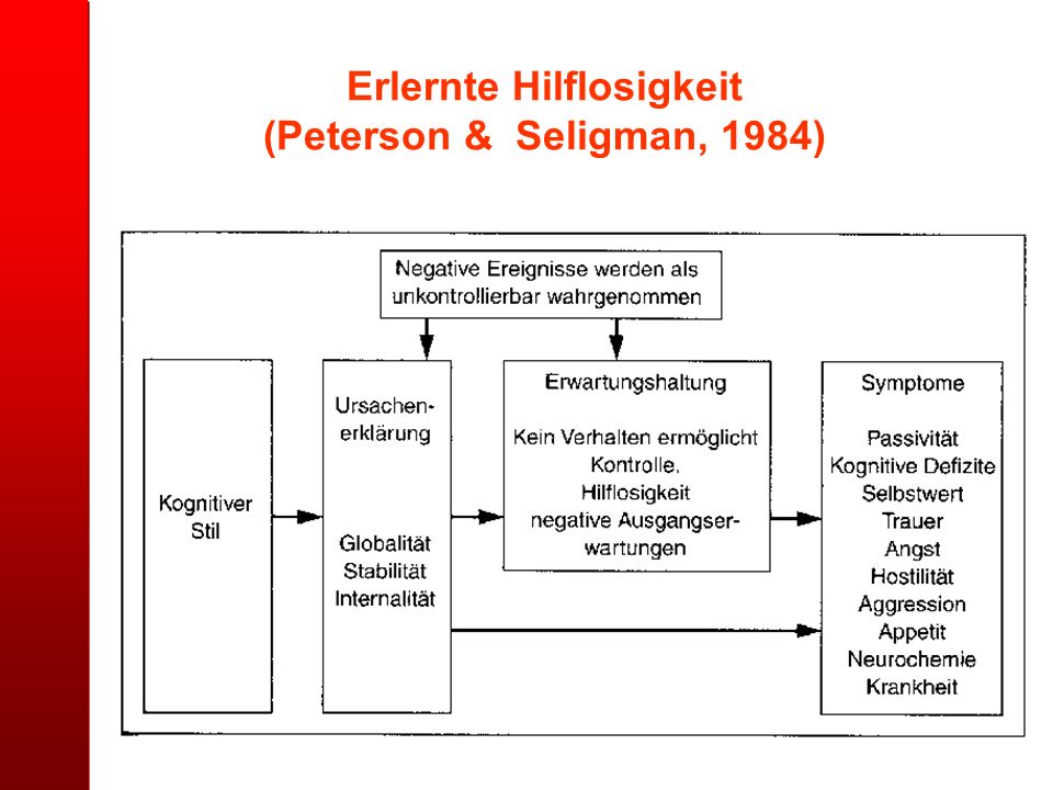 ebook kalkulationslehre eine einführung in das kalkulationswesen in