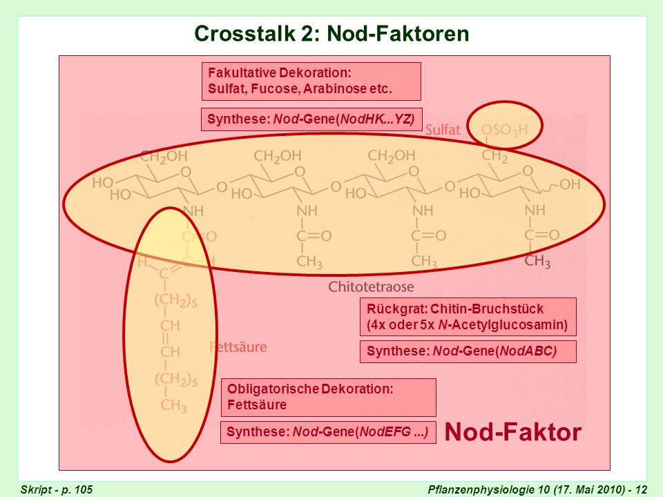 Nod Faktoren Nod Faktoren