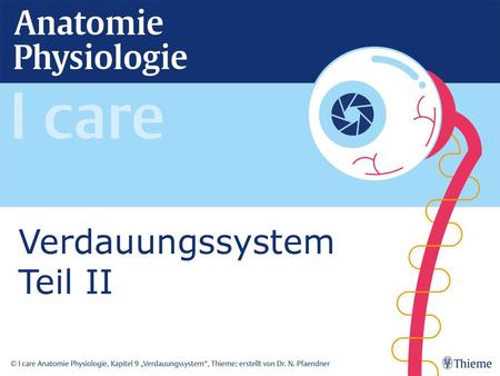 Verdauungssystem Teil II.